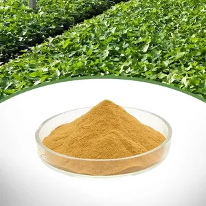 Ivy Leaf Extract thumbnail-1
