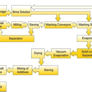 Lake Salt Processing Line Crude Salt Washing and Crushing Production Line thumbnail-6