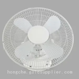 Coach Fan Train Fan thumbnail-2