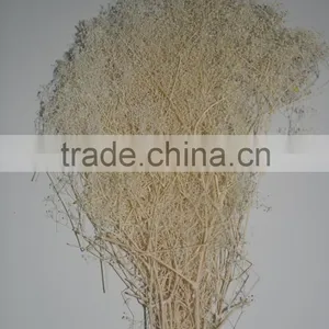 2016 Cheap Artificia Natural Dry Flower thumbnail-4