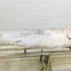 Big Size Yellwofin Tuna thumbnail-1