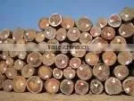 Cheap Price Keuring Veneer thumbnail-1