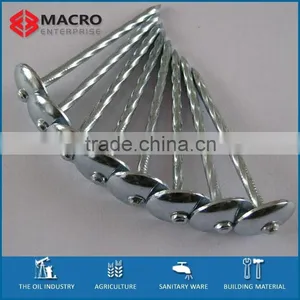 GALVANIZED UMBRELLA HEAD ROOFING NAILS FOR KENYA MARKET thumbnail-1