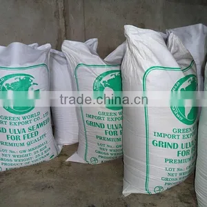 BEST PRICE COTTONII SEAWEED, HIGH QUALITY ! thumbnail-1