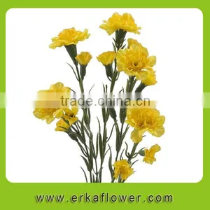 Diversified in Packaging New Coming Beautiful Fresh Carnation for Decoration thumbnail-3