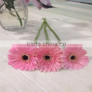From China Beautiful Gerbera Cut Flowers Decoration thumbnail-2
