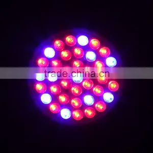 E27 28Red 10Blue 2.2W Plant Grow Light Bulb Garden Hydroponic Lamp 220-245V for Indoor Flower Plants Growth Vegetable Greenhouse thumbnail-3