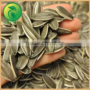 China Seed Company Sunflower Seed thumbnail-2
