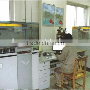 Best Quality Continuous Hot Dip Galvanizing Steel Strip in Coil thumbnail-4