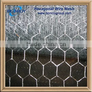 Hot Galvanized Hexagonal Iron Wire Net Mesh thumbnail-1