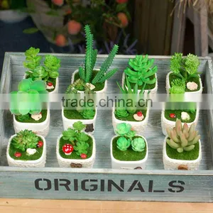 Home Garden Decoration Artificial Succulent Pots Wholesale Bonsai Pot thumbnail-1