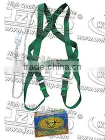 Safety Belt thumbnail-1