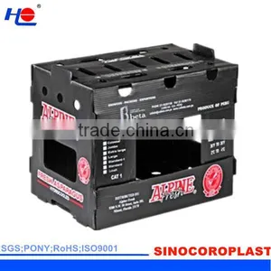 PP Vegetables Crates thumbnail-5
