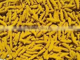 Dried Turmeric Fingers Viet Nam (Mr Alex, Whatsapp/viber 0084 919 393 302) thumbnail-1