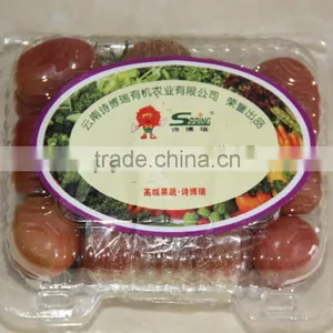 Export Fresh Sweet Cherry Tomato thumbnail-4