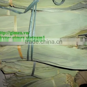Viet Nam Big Size Bamboo Leaves thumbnail-5
