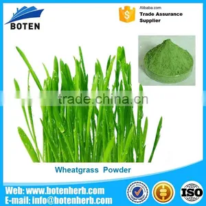 100% Natural Certified Organic Wheatgrass Powder thumbnail-1