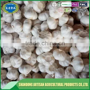 Fresh Garlic for Sale thumbnail-1