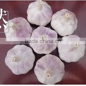 YUYUAN Brand Hot Sail Fresh Garlic Commercial Garlic Peeler thumbnail-4