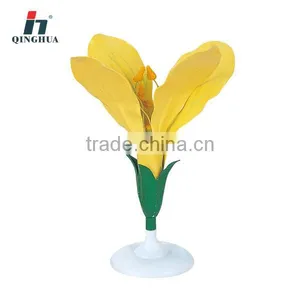 Cabage Flower Model thumbnail-1