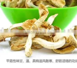 Dried Hot Sell Oyster Mushroom thumbnail-4