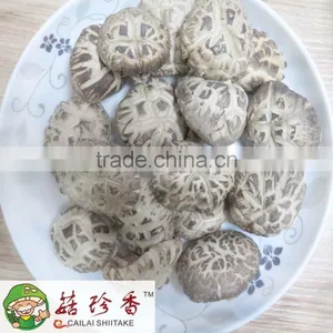 2-6 cm Autumn Planting White Flower Shiitake Mushroom Dried 1-5kg/bag thumbnail-1