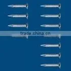 Galvanized Concrete Nails thumbnail-1