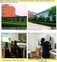 Cixi Yongtao Hardware Tools Factory company overview - view 1 thumbnail