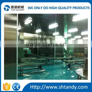 Industrial Belt Conveyor System thumbnail-1