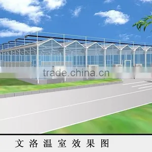 2016 New Design Greenhouses for Roses thumbnail-6