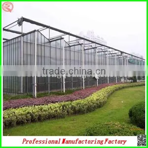 Large Muti-span Hydroponical Polycarbonate Sheet Greenhouses From China Manufacturer thumbnail-1
