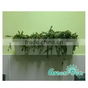 DIY Self Watering Aquaponic Garden Decoration Planter thumbnail-6