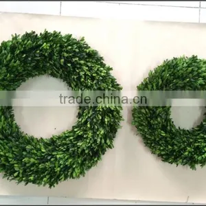 16'' Natural Boxwood Wreath Preserved thumbnail-2