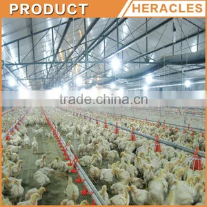 Heracles Suppliers Hot Sale Chicken Poultry Farm Equipment thumbnail-2