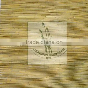 Reed Fence thumbnail-5