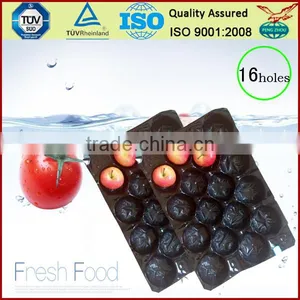 Customed SGS/FDA Testing PP Fruit Pear Alveols Tray thumbnail-6