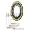 Spiral Wound Gasket thumbnail-1