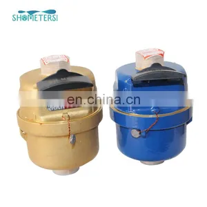 Brass Body Rotary Piston Volumetric Type Cold Water Meter thumbnail-6