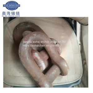 Jiangsu Factory Marine D Type End Anchor Shackle for Sale With CCS thumbnail-3