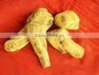 Rhubarb Root Extract thumbnail-1