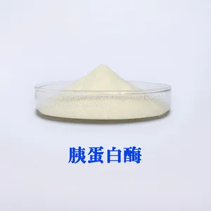 Trypsin CAS NO.9002-07-7 Food Grade thumbnail-2