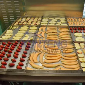 Vacuum Fast Freeze Dryer Food Freeze Drying Machine Equipment Freeze Dried Fruit Food Machine EPC thumbnail-4