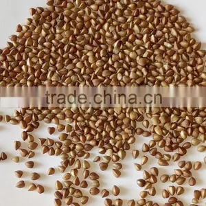 Roasted Buckwheat From China thumbnail-1