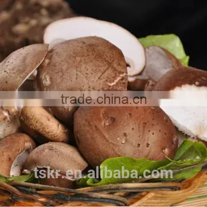 Fresh Shiitake Mushroom thumbnail-2