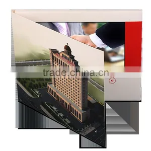 Bank Theme Europe Lcd Video Player Brochures for Business thumbnail-2