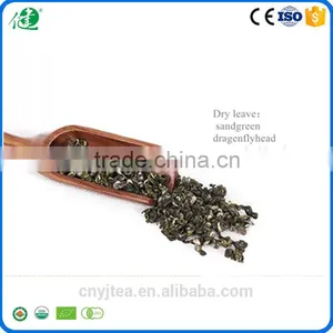 China Free Additives Green Dried Tea Leaves Organic Green Tea thumbnail-2