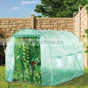 Poly Tunnel Greenhouse thumbnail-1