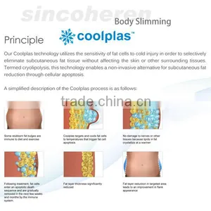 Top!!!100% Fat Freezing Cryo Cold Body Sculpting Lipolyse Machine With Large Size Cryo Heads thumbnail-6
