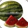 Watermelon thumbnail-1