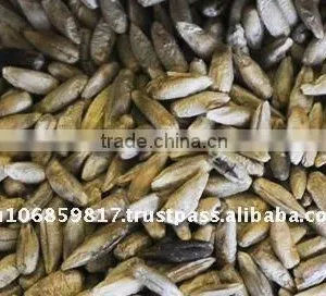 Australian Organic Rye Grain thumbnail-1
